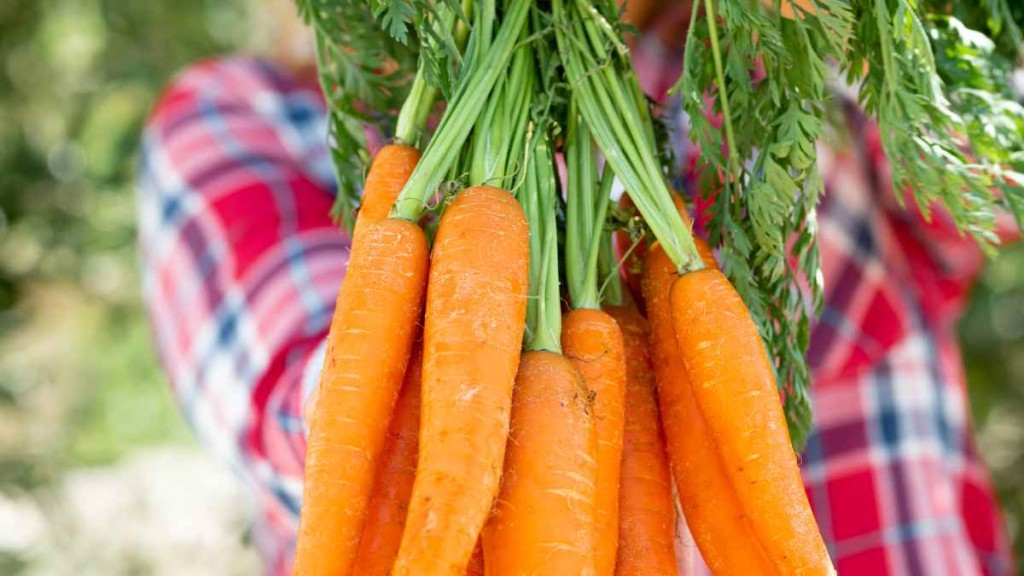 Local vegetable supplier in Scotland